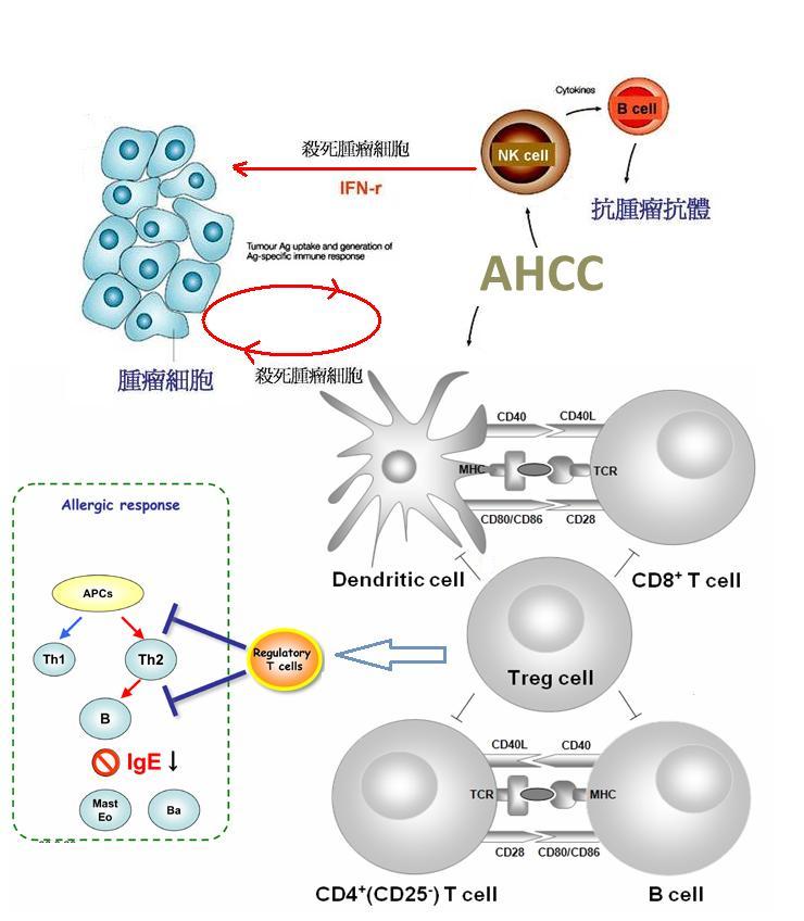 共生菌絲與代謝分析